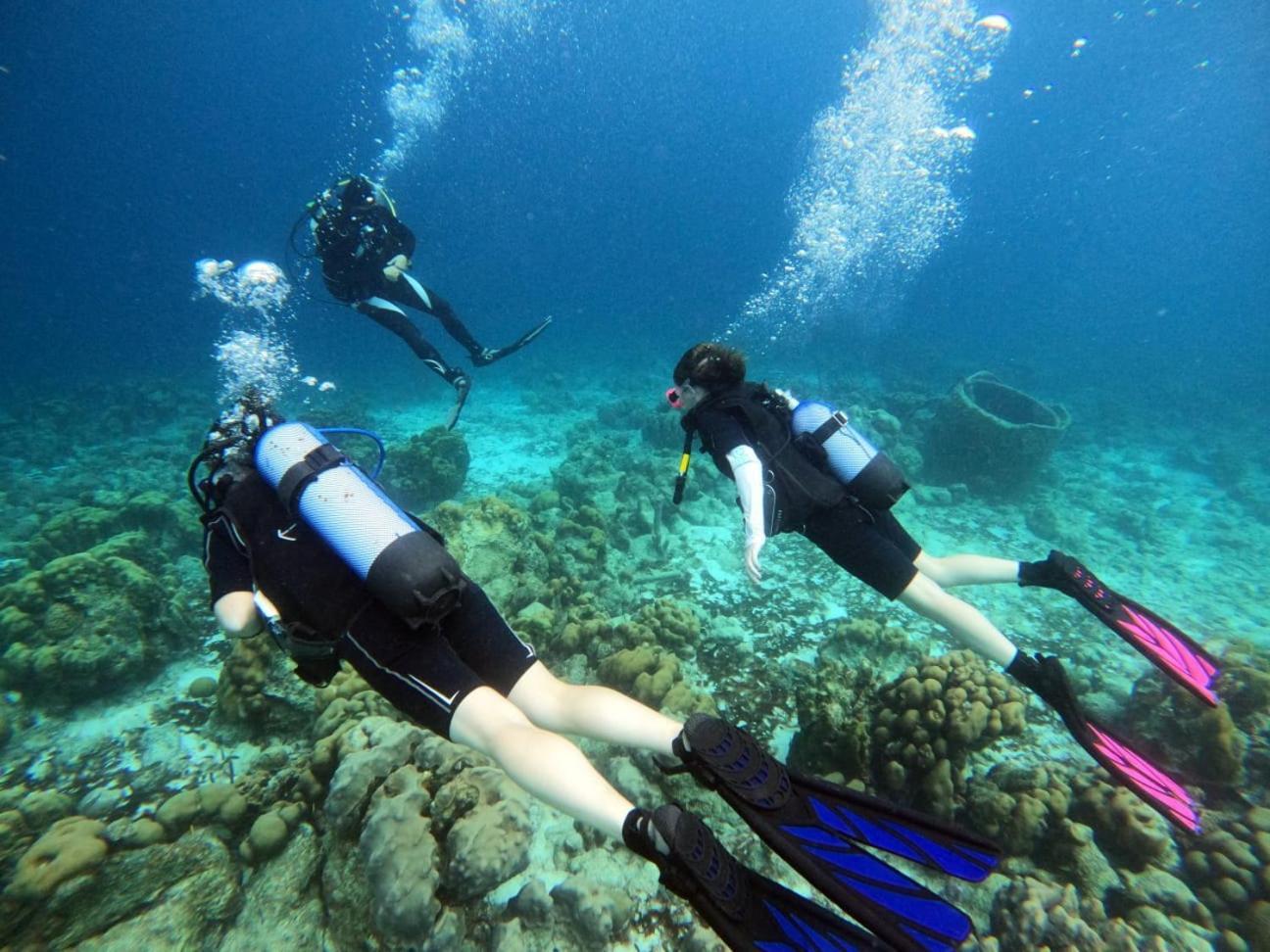Tropical Divers Resort 크랄렌데이크 외부 사진